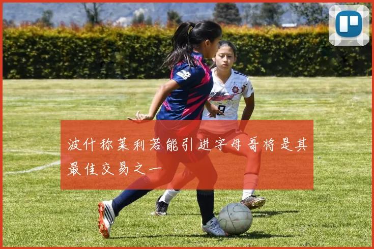 波什称莱利若能引进字母哥将是其最佳交易之一