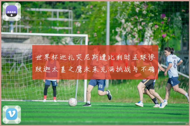 世界杯巡礼突尼斯遭比利时五球惨败迦太基之鹰未来充满挑战与不确定性